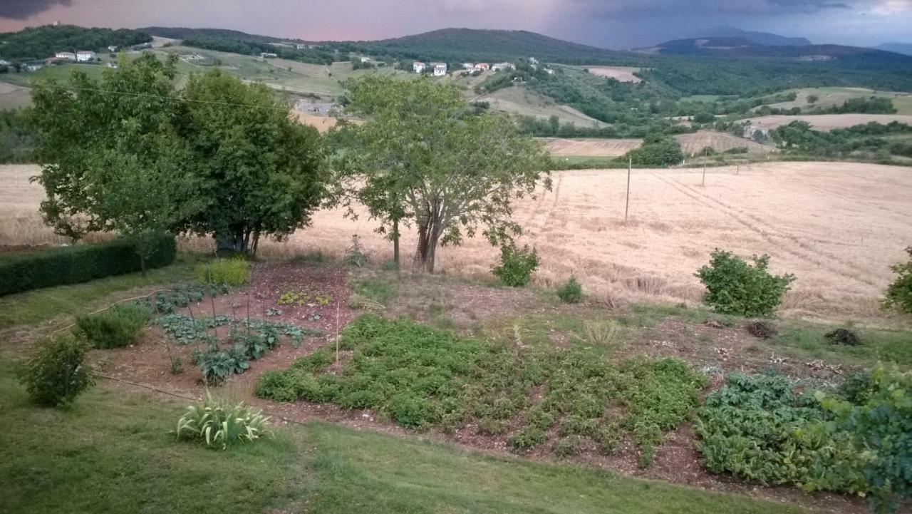 Cerqueti Agriturismo Villa Baschi Cameră foto